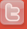 Twitter Icon